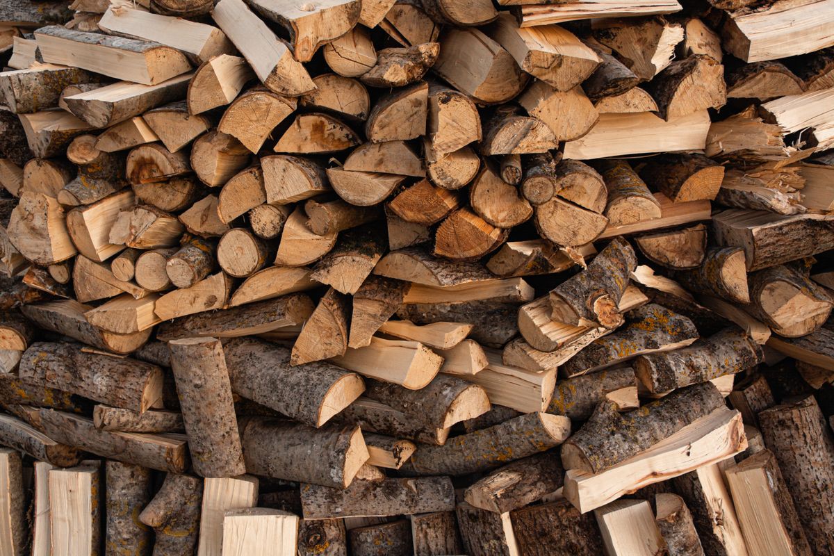 Prix du bois de chauffage en 2026 : stère, bûches et bois compressé